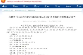 矿权推介｜矿业权招拍挂出让公告信息（第七十三期）图片