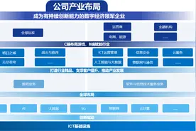 走进神州泰岳：探路2B2C数字化布局图片
