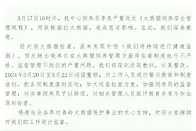 饲养员用铁锨驱打大熊猫，秦岭大熊猫研究中心：辞退涉事饲养员图片