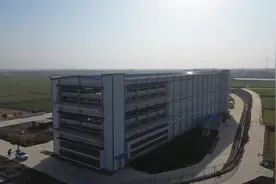 宜城：一只鸭“孵”出十亿元产业链图片