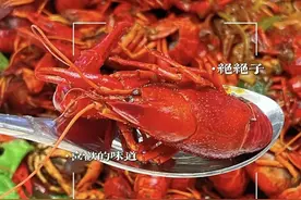 夏日“销魂”美食来啦！追剧看球，好吃到停不下来……图片