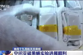 神十九乘组最近忙啥？完成空间站日常维护 还为舱门换“新衣”图片