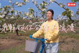 大通湖区：春天，赴一场花海的约会图片