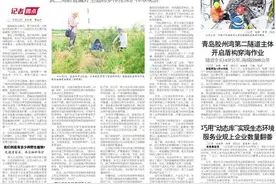 黄河三角洲耐盐碱野生植物多样性保护样本观察图片