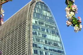四月京城，繁花绘春图片