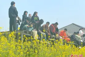 （乡村行·看振兴）鉴湖边的“油菜花经济”：化作春泥更护“稻”图片