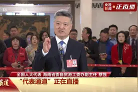 蔡强代表：海南免税新增即购即提 封关后适用“零关税”商品种类将大大增加图片