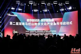 第二届湖南马栏山数字文化产业嘉年华在长沙启动图片