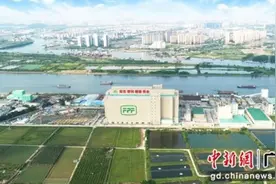 广州南沙智能化生猪养殖项目获韩国外宾点赞图片