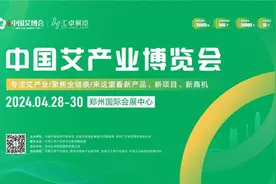 盛况空前！艾产业盛会再现“一位难求”图片