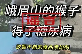 峨眉山猴子85%有糖尿病？官方回应图片
