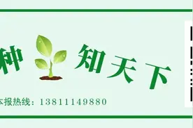 农业农村部发布19项课题目录！大豆等位列其中图片