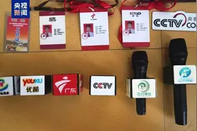 假冒总台编导，蔡某某被判刑！图片