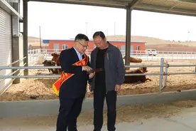 放贷4.8亿余元！红寺堡农商行“移民贷”按下群众致富“快进键”图片