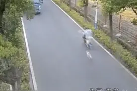判了！男子骑电动车被狗追赶，撞树当场身亡图片
