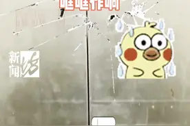 上蹿下跳+关人！沪一小区数十部电梯竟都这样…图片