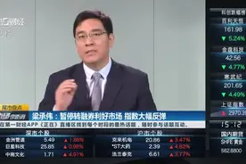 梁承伟：暂停转融券利好市场 指数大幅反弹视频封面