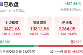 沪深股市刷新成交纪录，指数高开低走，大消费板块反复走强图片