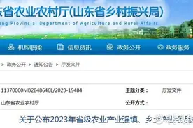 山东公布2023年省级农业产业强镇、乡土产业名品村名单图片