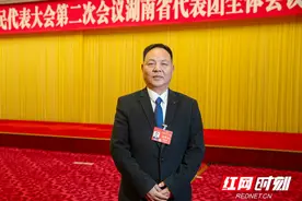 两会湘声丨阳岳球：建议建设罗子国国家考古遗址公园图片