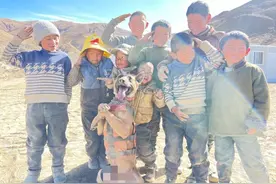 重庆搜救犬“小闪电”在西藏地震灾区有了新朋友图片