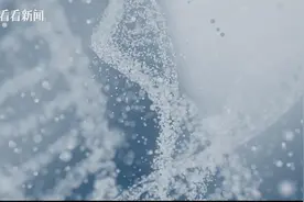 合成生物，“一切皆可造”？图片