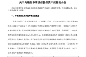这家广东汕头老牌A股游戏公司，已连续两个月向银行抵押房产图片