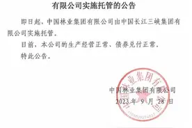 央企中林集团四家子公司债务逾期，总额23.17亿元图片