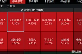 “狂飙”行情不减！人形机器人领涨市场，多只主题ETF涨超6%图片