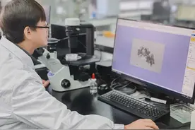 新春走基层 | 隆冬时节，油菜花开育种忙图片