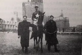 上海闲话聊体育｜马背上额城市骑手图片