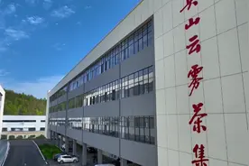 英山云雾茶标准化加工基地赋能茶产业链发展图片