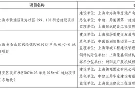 2024年11月本市建筑工地“四不两直”安全检查情况通报图片