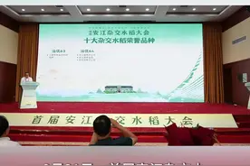 十大杂交水稻荣誉品种、十佳“怀化好米”发布图片