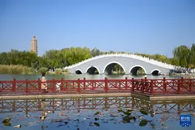 新时代中国调研行之看区域·西部篇｜宁夏银川：塞上江南生态美图片