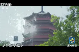 茶叶炒蛋、茶叶水饺……信阳人的毛尖藏着多少美食秘籍？图片