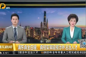 推动上海国际法律服务中心核心承载区建设 浦东真金白银、真招实策延揽涉外法治人才视频封面