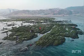 图游大连｜这里不仅仅有“网红坡”图片