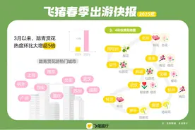 封面有数丨去有花的地方！这个春天携宠游、寺庙游、“拉练游”热度大涨丨封面天天见图片