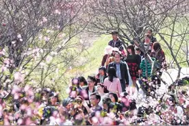 书记镇长油菜花田跳舞火了，还不来桃花树下看“村舞”图片