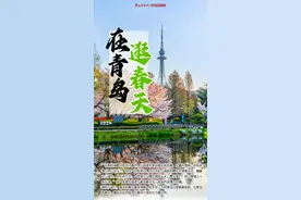 青岛春景丨在青岛，逛春天！东风一夜绿千重，百花次第香正浓图片