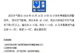大风寒潮预警！武汉新一轮降温、降雨、降雪即将来袭图片