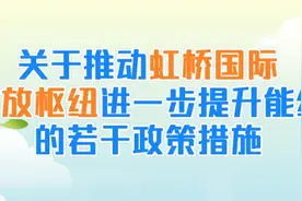 重大利好！海宁被纳入上海“大虹桥”的金南翼图片