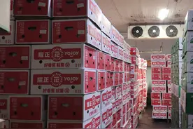 老挝香蕉将开售！新发地今年将引进超60万吨进口水果图片