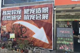 交汇点观察︱冷门动物催生“热经济”，异宠撬动百亿新赛道图片