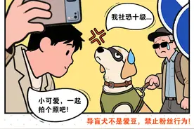 不准见面就“嘬嘬嘬”和rua头，宠爱我的最佳方式是→图片