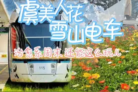 直播预告丨虞美人花海+雪山电车，治愈系周末还能这么玩儿图片