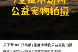 摄影师想帮100只重症动物免费拍写真，回应：参与者多为老年人，通过子女得知此事图片