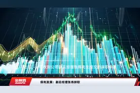 保利发展：副总经理张伟辞职视频封面