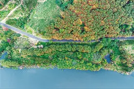 海南推出《海南环热带雨林国家公园旅游公路自驾指南（1.0版）》图片